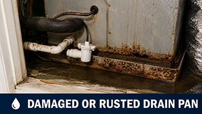 Rusted AC drain pan causing water leak near indoor air handler